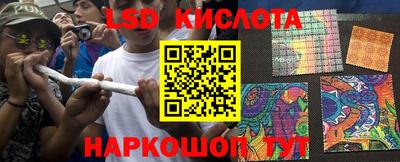 шишки Апшеронск