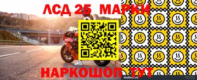 шишки Апшеронск