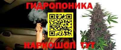 шишки Апшеронск
